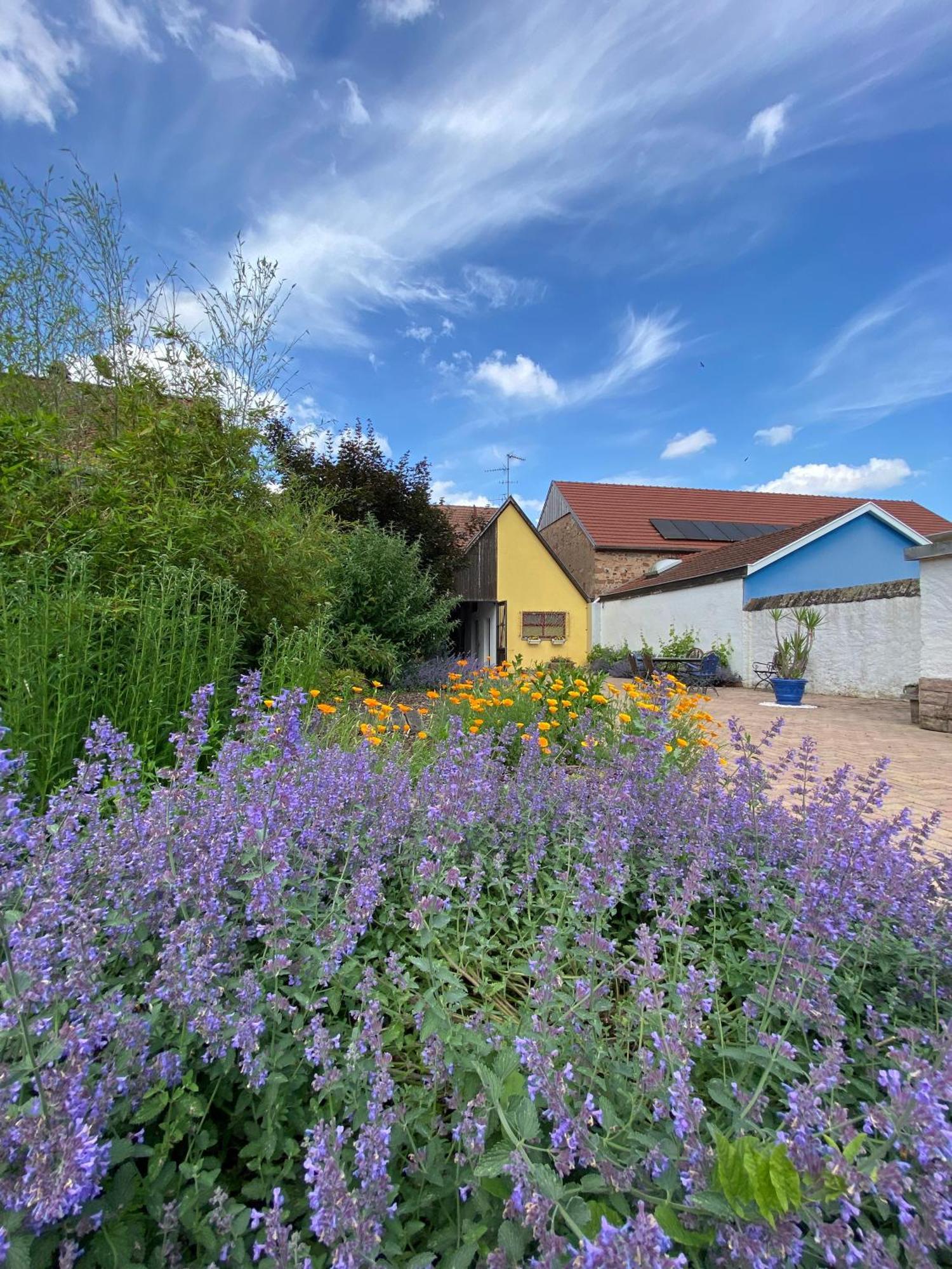 Relais Du Dompeter Bed and Breakfast Molsheim Exteriör bild